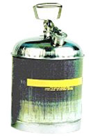 5 Gallon Type-1 Safety Can, Stainless Steel