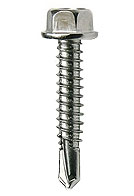#10 X 1 inch HWH TEK Screw (100)